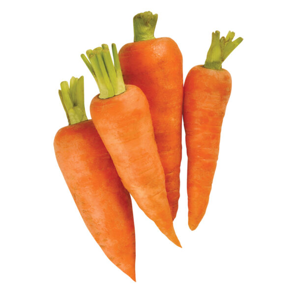 Carrot
